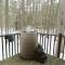 Cozy Cabin near Lake Placid, Whiteface-King, Ice Barrel, Hot Tub - Jay