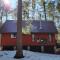 Cozy Cabin near Lake Placid, Whiteface-King, Ice Barrel, Hot Tub - Jay