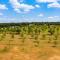 Pecan Farm Haus