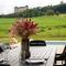 Charming Holiday Home with Private Pool - Hautefort