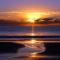 Seashore Sanctuary