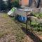 Camping Gourogo - Nador