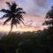 Hanthana view