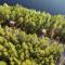 Alaska Glamping Linnansaari - 萨翁林纳