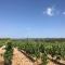 Villa entre Vignes et Garrigues - Assignan