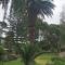 Buchan Estate and Self Catering