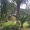 Buchan Estate and Self Catering