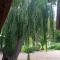 Buchan Estate and Self Catering