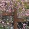Miaoli Sanyi Travelling Homestay