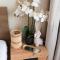 Artistic and cozy apartment in the center of Sofia - صوفيا