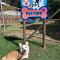 Pousada Serra das Araucárias PetFriendly - CÃOFÉ da manhã Pet