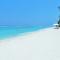 Planktons Beach