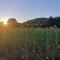 Gorgeous Home In Coursac - Coursac