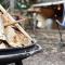 Eco Bivouac village igloos Annecy - LE SEMNOZ - à 20 minutes d'Annecy - 安锡