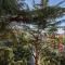 Pine House Sorrento