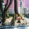 Ocean Block, Single Family, Ship Bottom, Beach Badges, Wifi, Private Yard, Ocean Side Home In Ship Bottom 66611 - Ship Bottom