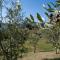Freistehendes Agriturismo Mit Garten Und Pool