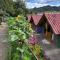 Hospedaje - Cabañas villa rosita