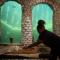 Wonderland Boutique Guesthouse & Spa
