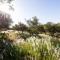 Belcharto Accommodation
