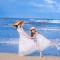 Dusit Thani Shuangyue Bay Resort Huizhou