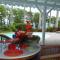 Holidays Guadeloupe