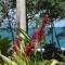 Holidays Guadeloupe