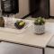 SEVIS SUITES
