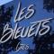 Gites les Bleuets