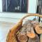 Aurora Pelion Guest House - 卡托加兹阿