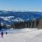 Tømmerhytte i Valdres med panoramautsikt over fjellene - Aurdal
