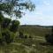 Holiday home in the Lüneburg Heath - 维岑多夫