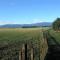 The Grumpy Trout Lodge #Outdoors on our #doorstep! - 图朗伊