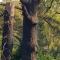 Buchan Estate and Self Catering