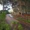 Buchan Estate and Self Catering