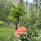 Pacific guest house Skardu - Skardu