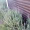 CoCo de Mer - Self Catering Log 2