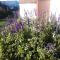 CoCo de Mer Self Catering Log 1