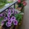 Doppelzimmer bei Natur & Events - Basel