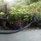 Berkey's Jungle Paradise Resort - 罗索