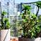Cozy 3BR Home with Large Balcony for Relaxation