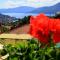 HolidayHome Casa Lilli 2 Luino - Eli apartment with lake view - Dumenza