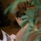 Tulia Retreat Hotel and Spa