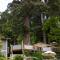Halfmoon Haven Beach Cottage or Oceanview Suite
