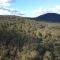 Off-Grid Cabin Deep in Nature - Pet Friendly - Barney