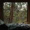 Off-Grid Cabin Tucked into Nature Creek Access - Yenya