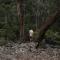 Off-Grid Cabin Tucked into Nature Creek Access - Yenya