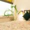 Centrally Located Home in Central Jaipur - Jaipur
