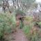 Yelverton Brook Conservation Sanctuary - Metricup