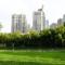 InterContinental Hefei by IHG - Hefei